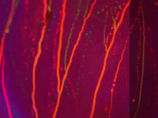 HEYBANANA on BongaCams