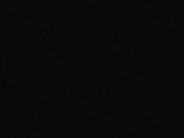 mermaariel on BongaCams