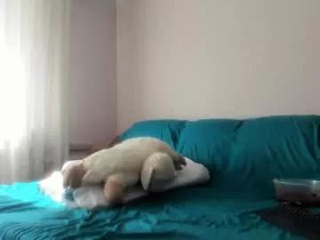 issabelle_69 on Chaturbate 