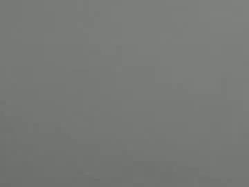 natasha__logan on Chaturbate 