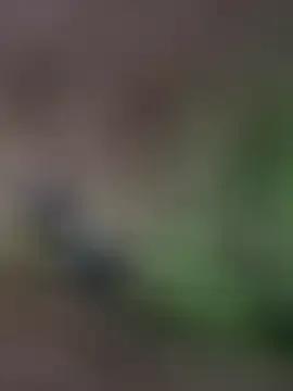 Hannah_xBaby on StripChat