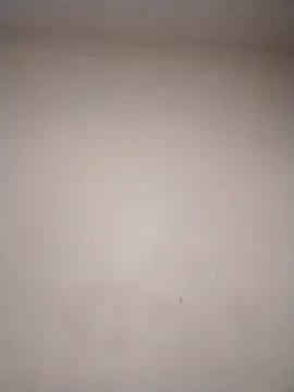 jannis1992 on StripChat