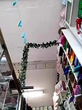 Mia_Novikov on StripChat