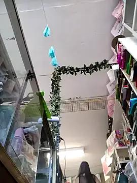 Mia_Novikov on StripChat