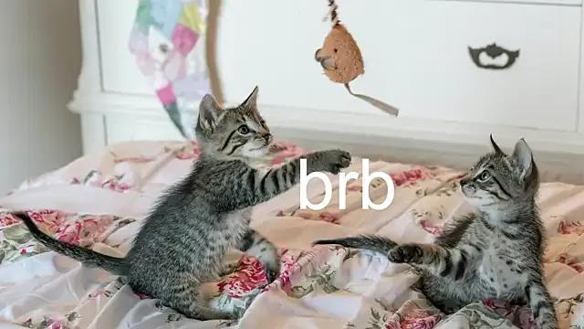 Pink_girl0n — Spanking 20