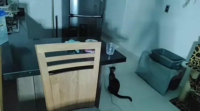 Savinneexotic on StripChat